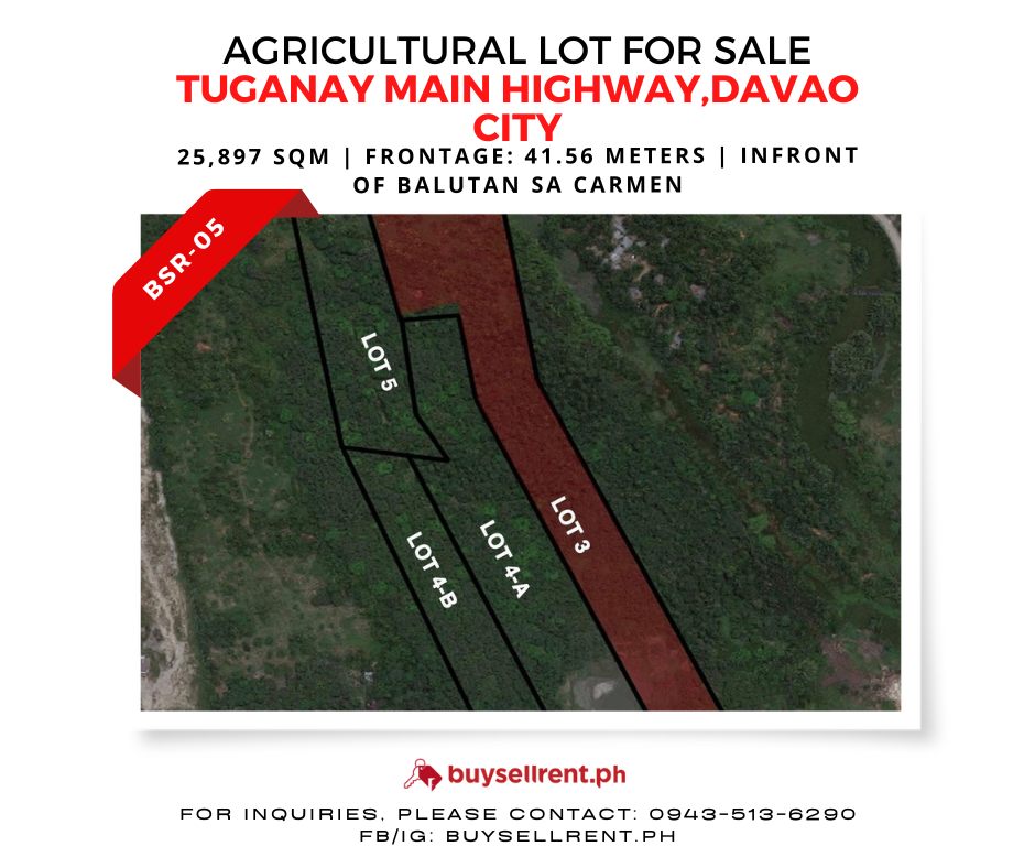 Davao Del Sur, ,Lot,For Sale,1235