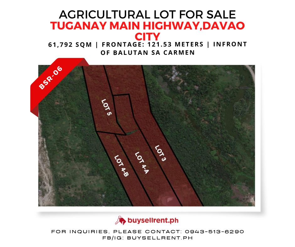 Davao Del Sur, ,Lot,For Sale,1236