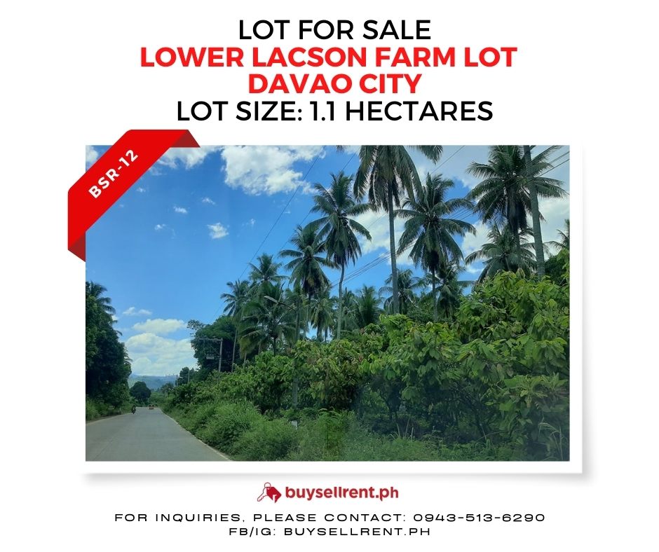 Davao Del Sur, ,Lot,For Sale,1242