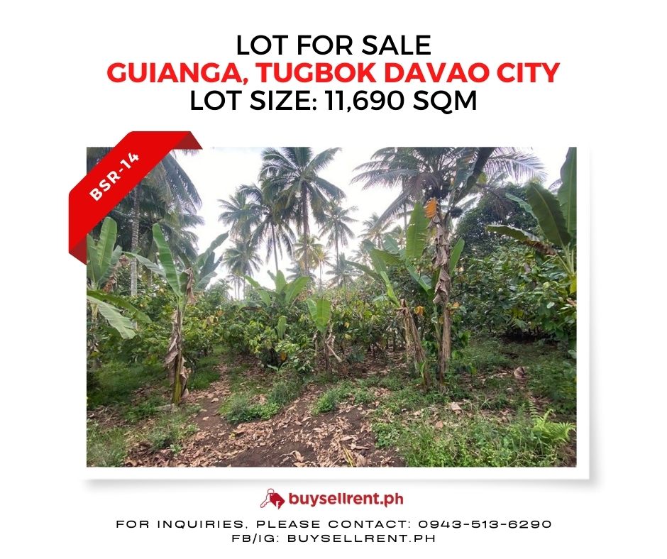 Davao Del Sur, ,Lot,For Sale,1244