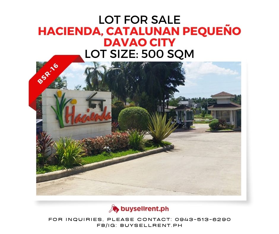 Davao Del Sur, ,Lot,For Sale,1246