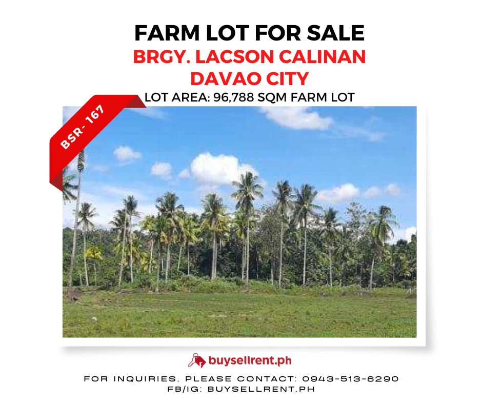 Davao Del Sur, ,Lot,For Sale,1372